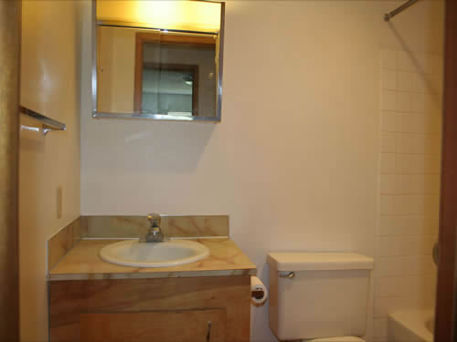 A one-bedroom at The Elysian Annex, 1210 East Fifth Street, apt. 8, Moscow, Id 83843