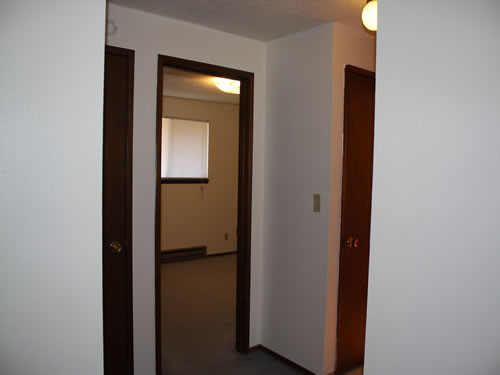 A two-bedroom at The Olympus Plus Apartments, 1200 Hillsided Circle in Pullman, Wa