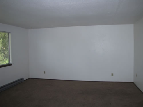 A three-bedroom apartment at the 1270 Hillside Drive, Upper Unit, Pullman WA 99163
