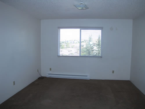 A one-bedroom at The Cougar Apartments, 205 Larry, #9, Pullman WA 99163