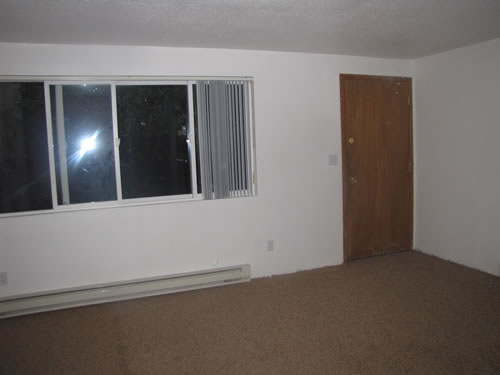 A two-bedroom at The Lethe II Apartments, 1635 Valley Rd., #2 Pullman WA 99163