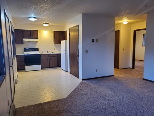 Livingroom and kitchen