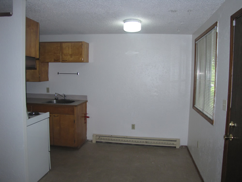 A one-bedroom at The Notus Apartments, 200 Lauder Av., apt.13, Moscow Id 83843