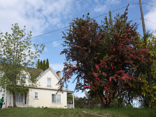 The four-bedroom house on 309 Styner Ave in Moscow, Id