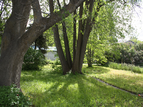 The Duplex at 422 N. Washington in Moscow, Id