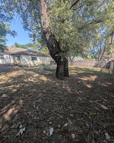 yard