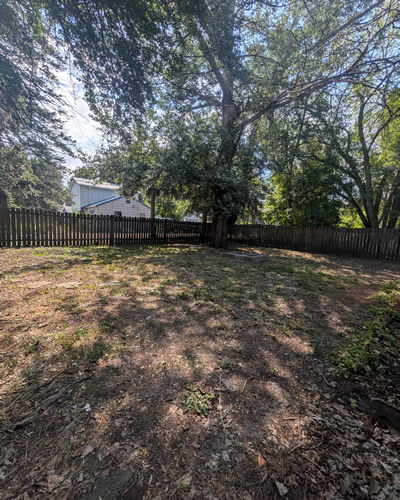 yard