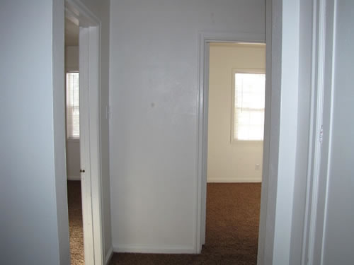 A two-bedroom apartment at The Elysian Fourplexes, 313 Blaine, #201, Moscow ID 83843