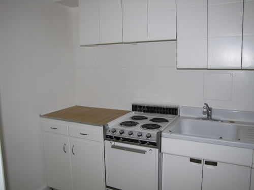 A two-bedroom apartment at The Elysian Fourplexes, 313 Blaine, #201, Moscow ID 83843