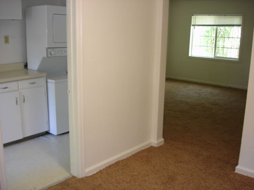 Kitchen and livingroom