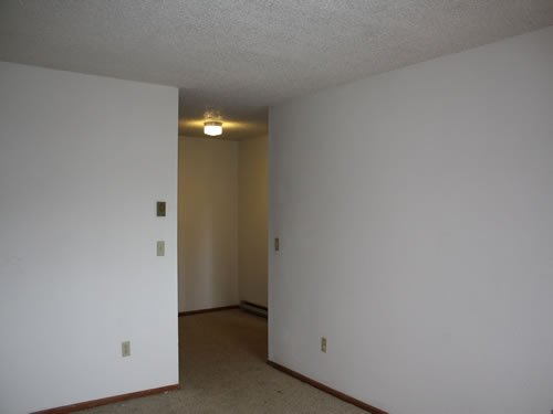 A one-bedroom at The Elysian Annex Apartments, 1210 East Fifth Street, apartment 5 in Moscow, Id