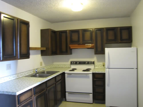 A one-bedroom at The Elysian Annex Apartments, 1210 East Fifth Street in Moscow, Id