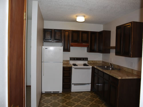 A one-bedroom at The Elysian Annex, 1210 East Fifth Street, apt. 8, Moscow, Id 83843