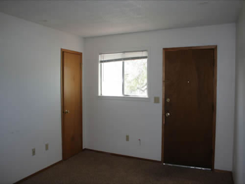 A one-bedroom at The Elysian Annex, 1210 East Fifth Street, apt. 8, Moscow, Id 83843