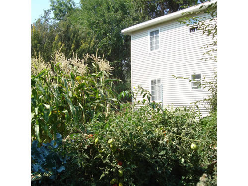 Pictures of The Elysian Garden Plots at  The Elysian Fourplexes  in Moscow, Id