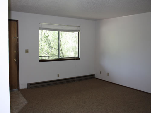 A two-bedroom at The Olympus Plus Apartments, apartment 1, 1200 Hillside Circle, Pullman, Wa