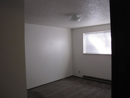 a two-bedroom at The Eos Apartments, 1235 Hillside Dr., apt. 4, Pullman Wa 99163