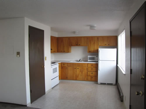 a two-bedroom at The Eos Apartments, 1235 Hillside Dr., apt. 4, Pullman Wa 99163