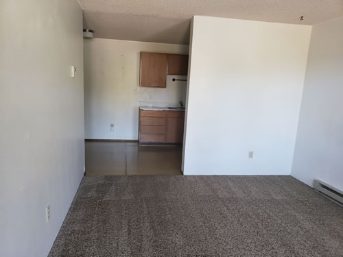 Picture of a one-bedroom at THE GLENDIMER 1 APARTMENTS, 1420 Wheatland Drive, Pullman, Wa