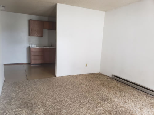 Living room and Kitchen