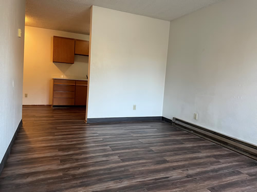 living room and kitchen