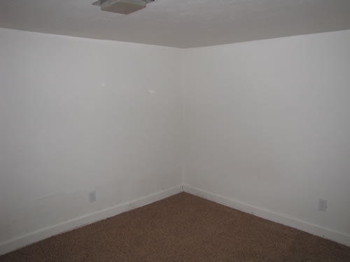 A one-bedroom apartment at The Triplex, 1510 Wheatland Dr., apt. C, Pullman, Wa