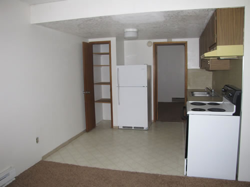 A one-bedroom at The Laurel Apartments, 1585 Turner Dr., apt.11, Pullman WA 99163