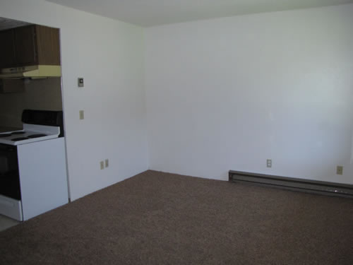 A one-bedroom at The Laurel Apartments, 1585 Turner Dr., apt.11, Pullman WA 99163