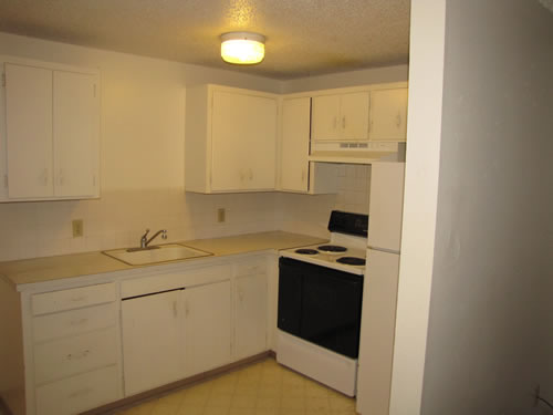 A one-bedroom at The Aegis Apartments, 1610 Wheatland Dr., #12 , Pullman WA 99163