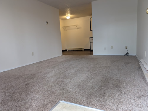 kitchen and living room