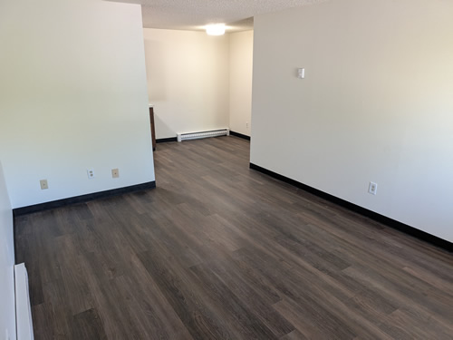 living room and kitchen