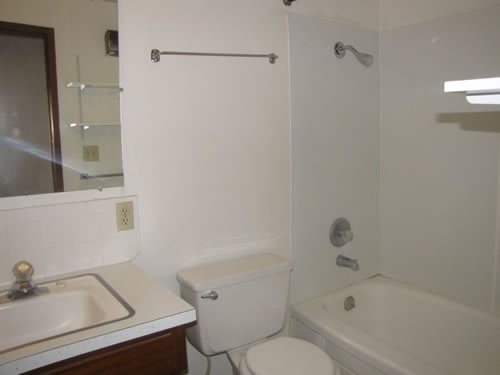 A one-bedroom at The Aegis Apartments, 1610 Wheatland, apt. 6, Pullman Wa 99163