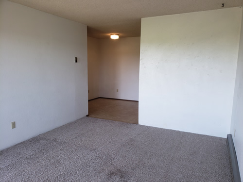 Livingroom and diningroom