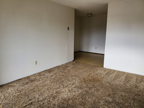 livingroom and kitchen