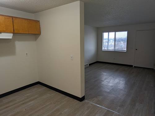 kitchen and living room