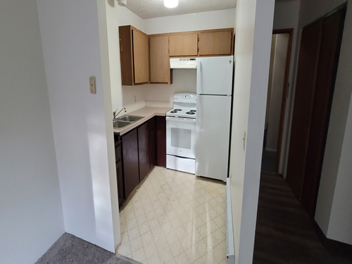 A one-bedroom at The Cougar Apartments,  205 Larry St., #12, Pullman WA 99163