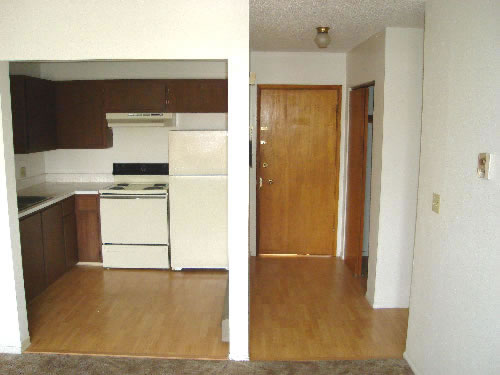 Picture of apartment 13, a one-bedroom at The Cougar Apartments, in Pullman, Wa