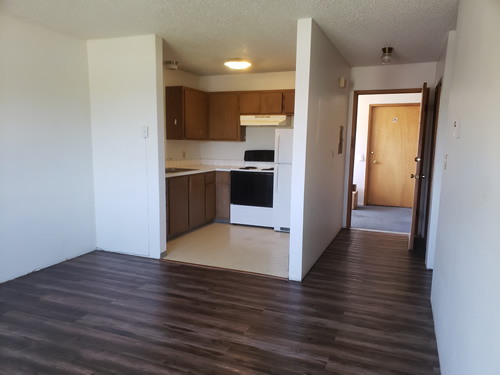 Livingroom and kitchen