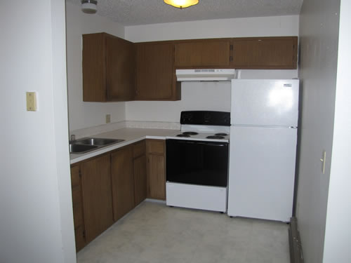 A one-bedroom at The Cougar Apartments, 205 Larry, #9, Pullman WA 99163