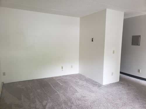 Picture of apartment 203 at The Morton Street Apartments, 545 Morton Street in Pullman, Wa