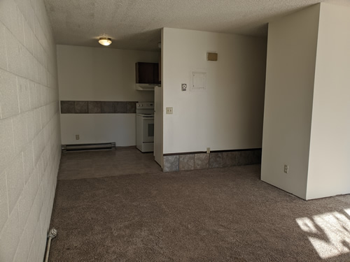 livingroom and kitchen