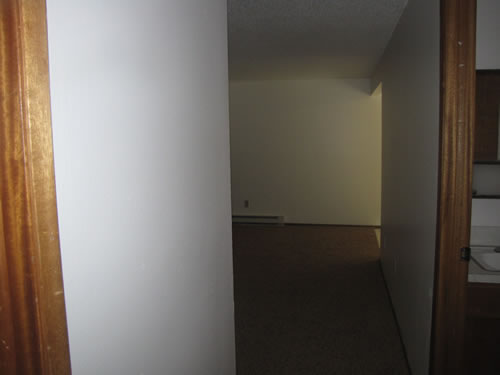 A two-bedroom at The Lethe Apartments, 6105 Valley Rd. NE, apt.3, Pullman Wa 99163