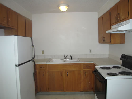 A two-bedroom at The Lethe Apartments, 6105 Valley Rd. NE, apt.3, Pullman Wa 99163