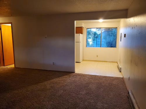 Livingroom and kitchen