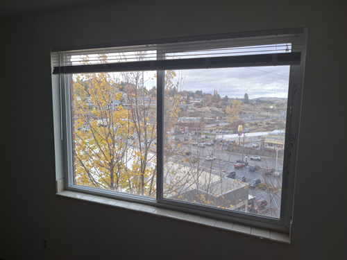 view