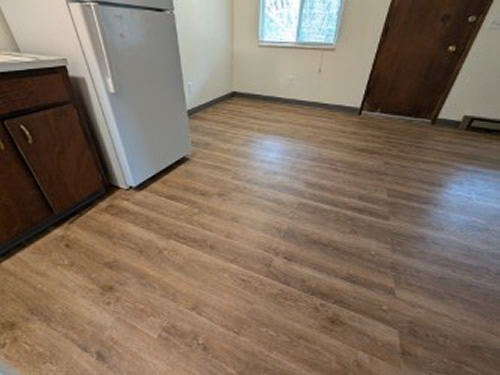 kitchen and living room