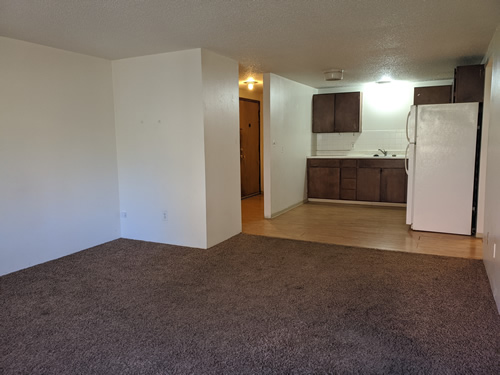 livingroom and kitchen