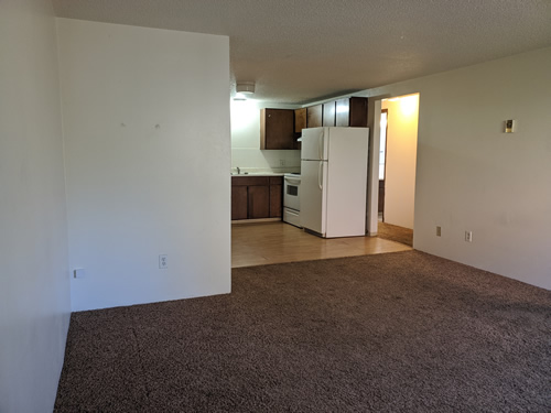 living room and kitchen