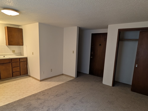 living rooma and  kitchen