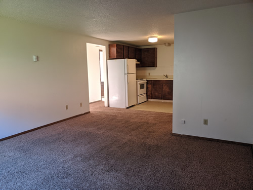 livingroom and kitchen